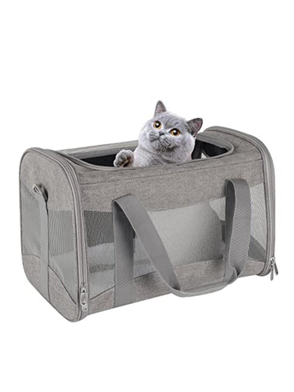 Cat Carrying Case - Pet Carrier Airline Approved, Protable and Breathable Pet